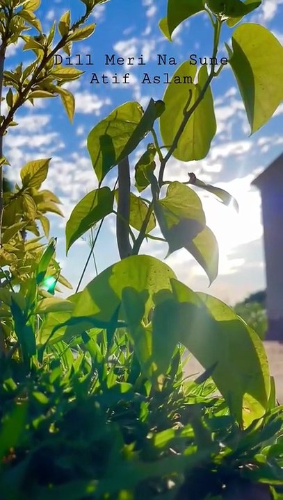 Dill Meri Na Sune - Atif Aslam #ytshorts #trending #whatsappstatus #whatsapp #trend #trendingshorts