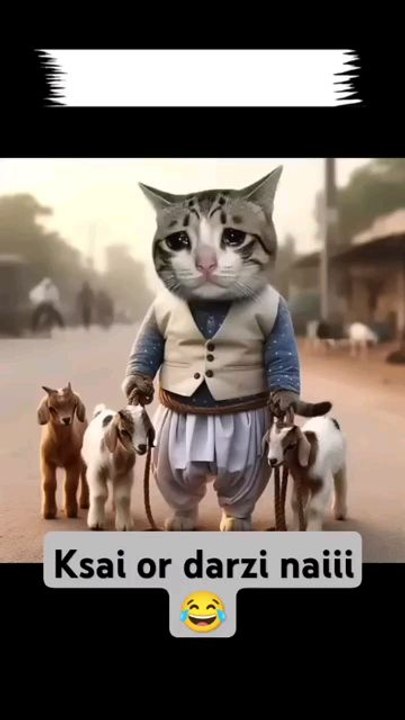 kasai nai maida🤣#cat #eid #eidmubarak #bakraeid #barieidmubarak #cutecat #ai #catshort #trendingvideo #trendingshorts #vitual #catlover #viralshorts #ytshorts #funny #crazyfunnyvideos #shortsfeed #shortvideo #funnyanimalvideos