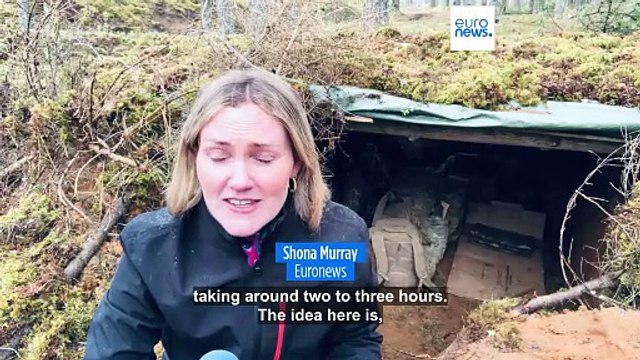 NATO exercise simulates Russian invasion across frontline member states