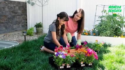 Las Personas que Conoce Estas Reglas del Dinero NO