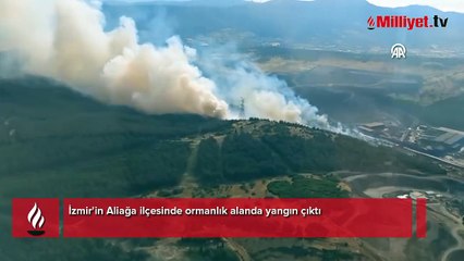 Son dakika: İzmir Aliağa'da orman yangını