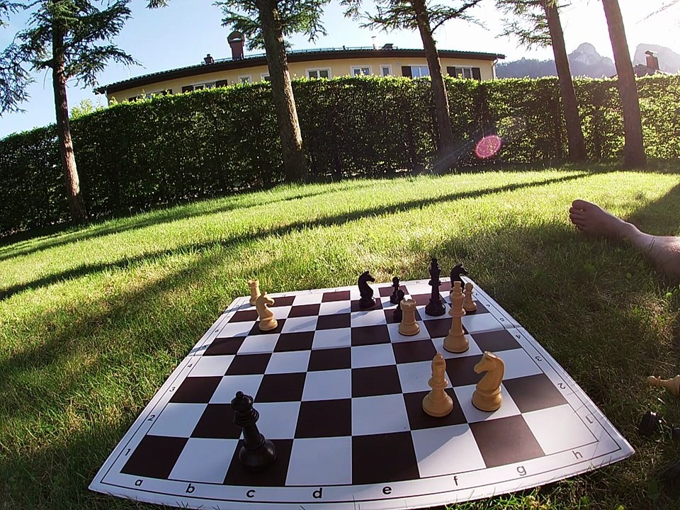 Chess study that leads to zugzwang