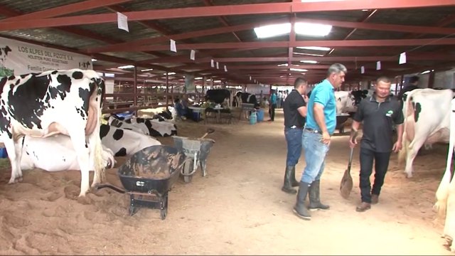 tn7-Productores nacionales de leche alertan sobre amenaza por facilidades a importaciones de EE.UU310525