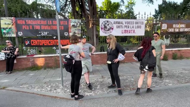 Palio di Ferrara, protesta animalista: Gli animali non sono oggetti da spettacolo