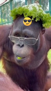 #funny shorts#viral video #comedy#chinese