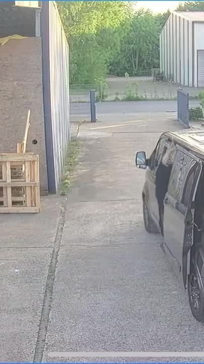 Woman Jumps Into Vehicle But Hits Head And Falls Back