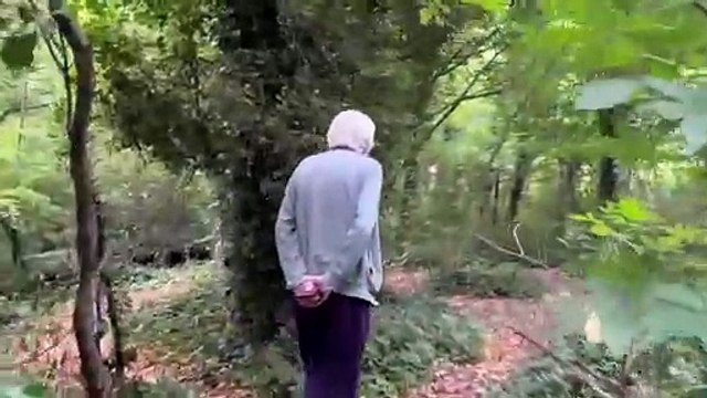 Trieste, nel bosco di Liliana Resinovich