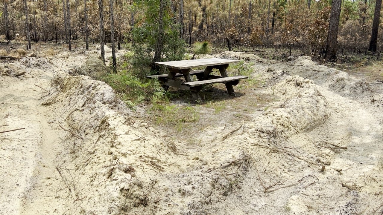 Julington Durbin Preserve Fire Aftermath
