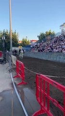 Acerra (NA) - Tito d'Errico: Dalla Giostra dei Cavalieri (31.05.25)