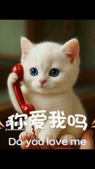 🇺🇸 This Kitten's Phone Call Will Melt Your Heart!