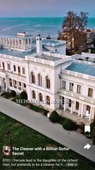 The Cleaner with a Billion-Dollar Secret