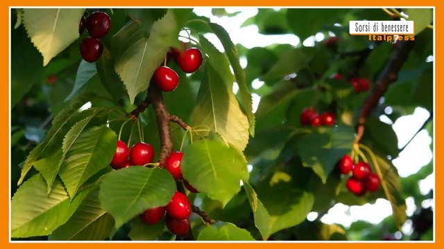 Sorsi di Benessere - Un frullato di ciliegie alleato della pelle