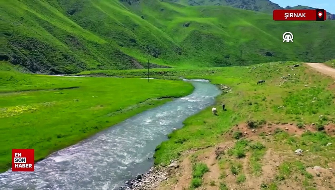 Faraşin Yaylası: Doğaseverlerin yeni uğrak noktası
