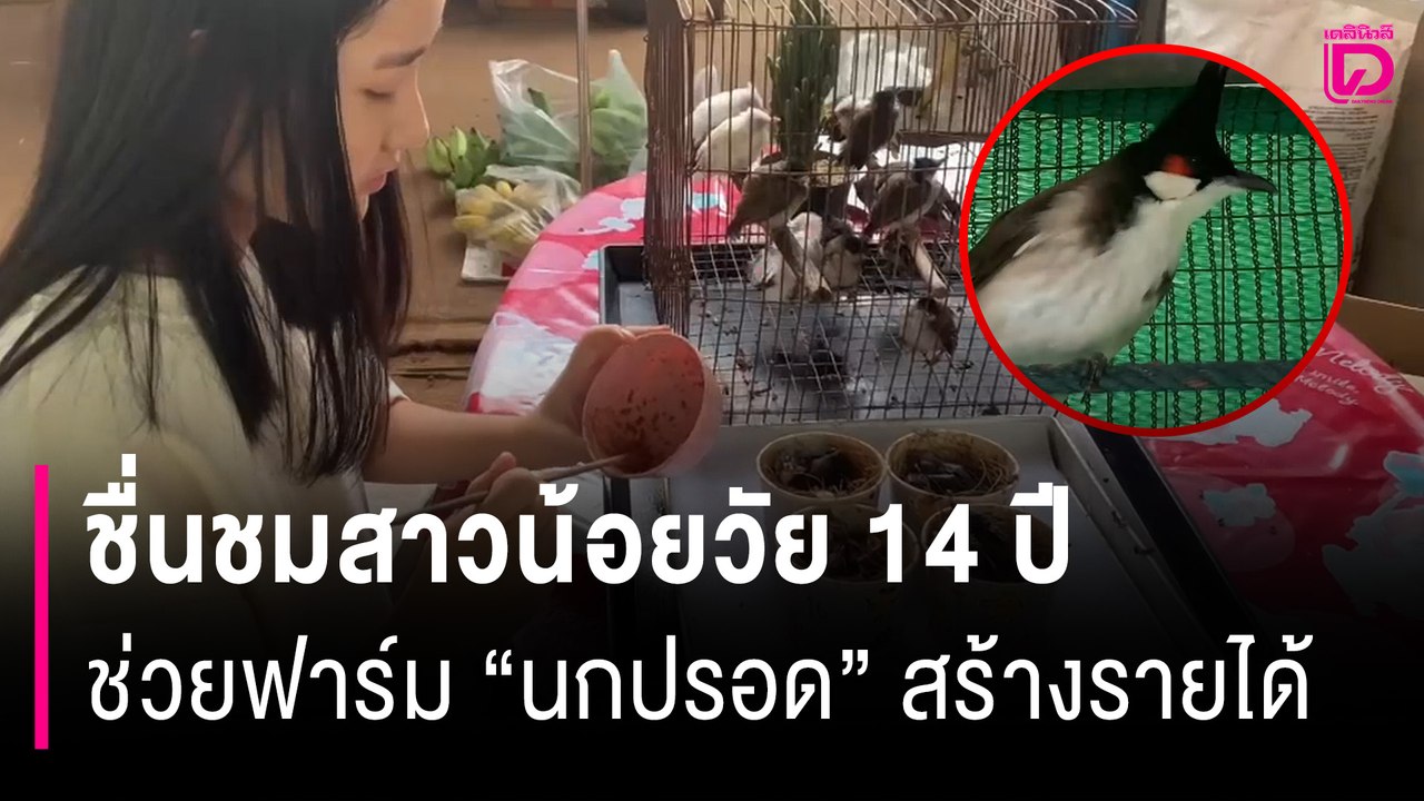 ชื่นชมสาวน้อยวัย 14 ปี ช่วยพ่อทำฟาร์ม "นกปรอด" สร้างรายได้หลักหมื่นต่อเดือน | HOTSHOT เดลินิวส์ 01/06/68