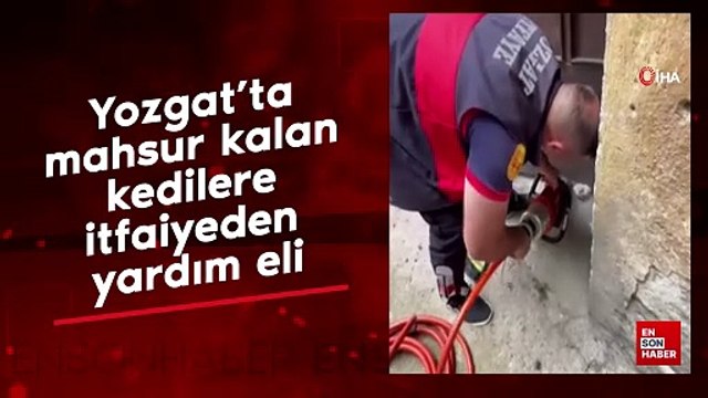 Yozgat'ta farklı noktalarda mahsur kalan kedilere itfaiyeden yardım eli