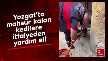 Yozgat'ta farklı noktalarda mahsur kalan kedilere itfaiyeden yardım eli