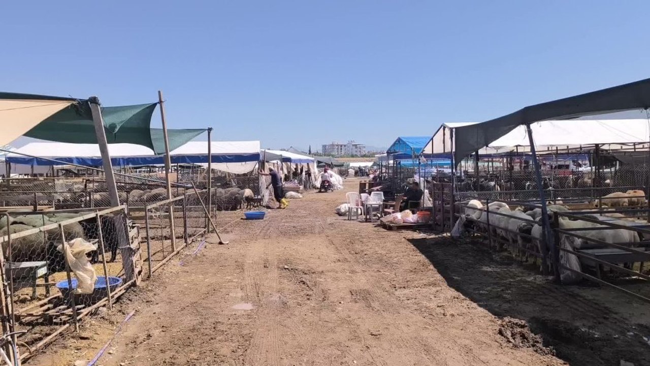 Bayram öncesi vatandaş da satıcı da şikayetçi... Emekli vatandaş: "Emekli maaşı ve ikramiye ancak bir kurbanlık eder, bir ay da taş yeriz herhalde"