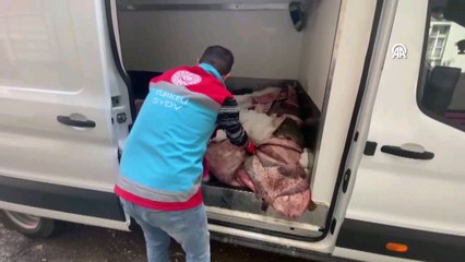 Kaçak avlanan kalkan balıkları vatandaşa dağıtıldı