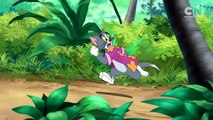 Tom & Jerry | Tom And Jerry Surpries Each Other!🎉 Classic Cartoon Compilation