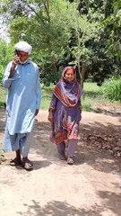 Funny video, tention relief, comedy, be happy.