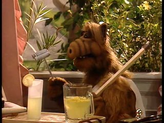 Através das janelas (Alf, o ETeimoso 🇧🇷 – Ep. 20)