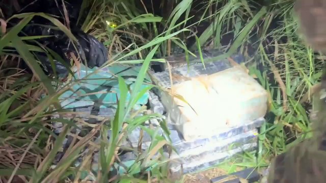 Apreensão de 8,5 toneladas de maconha em Altônia - 1