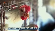 Notícias do exterior na Televisão Central da Coreia (31.05.2025)