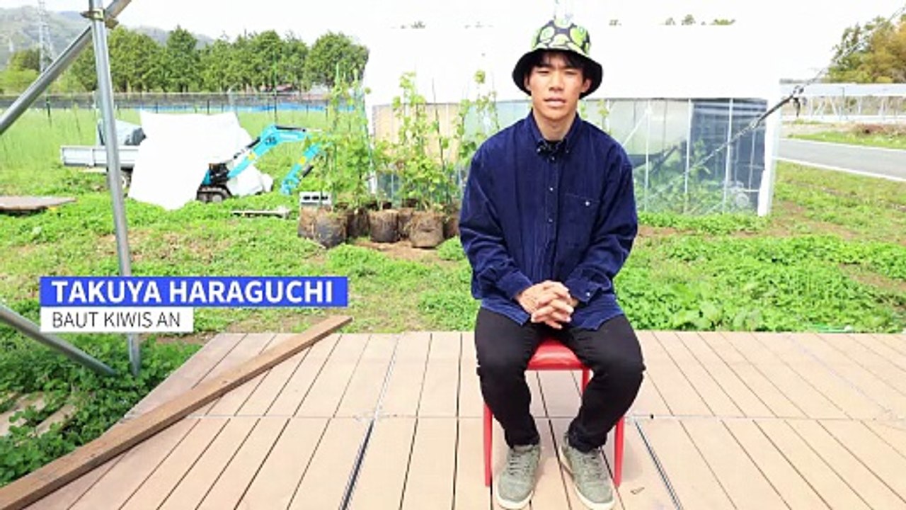 Kiwis aus Fukushima: Wie wieder Leben in den Landstrich kommen soll