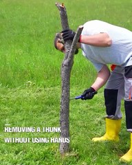 Removing a Trunk Without Using Hands!🌳