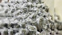 Autoridades incautan más de 700 guantes quirúrgicos con marihuana
