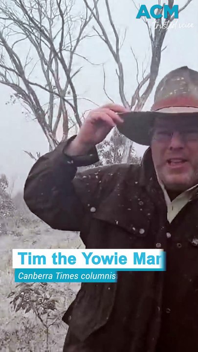 The chilly mystery of Kiandra's 'cattle in the snow gums'