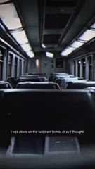 The Silent Passenger: A Chilling True Horror Story That Will Haunt You