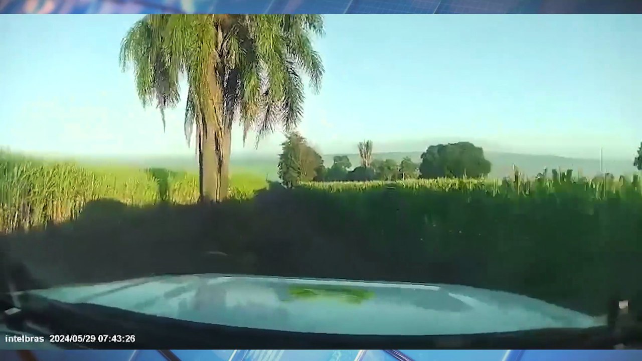 Polícia Rodoviária apreende veículo com 289 kg de maconha após perseguição