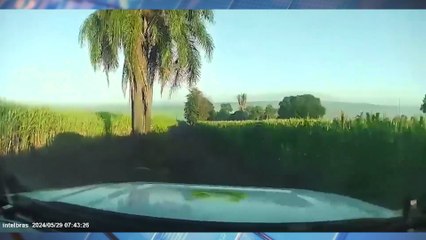 Polícia Rodoviária apreende veículo com 289 kg de maconha após perseguição