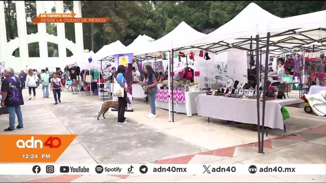 Retraso en instalación de casillas llevó a que mucha decidiera no votar en la Elección Judicial
