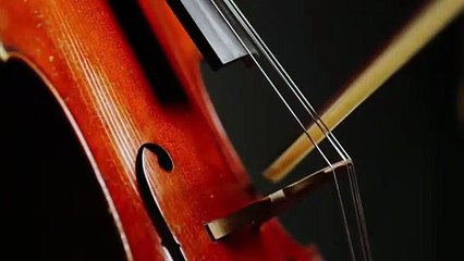 感受大提琴魅力！校園民歌串燒 II 3 現場演奏🎶