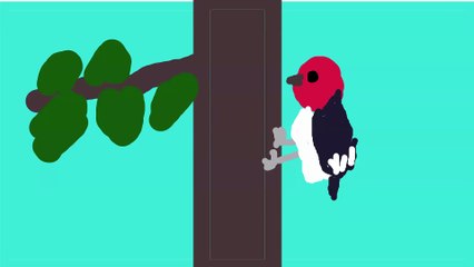 Woodpecker pecks tree