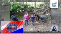 Mga kaso ng melioidosis sa Siquijor, tinututukan ng Dept. of Health at Dept. of Agriculture | Unang Balita