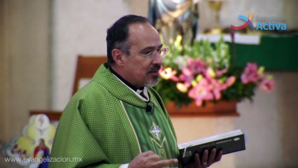 Homilía No temas y confía