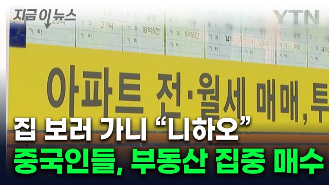 한국서 부동산 쓸어담는 중국인...가장 많이 매수한 지역 보니 [굿모닝경제] / YTN