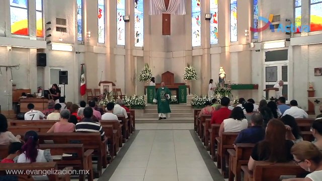 Homilia No te quedes sin comer de este pan