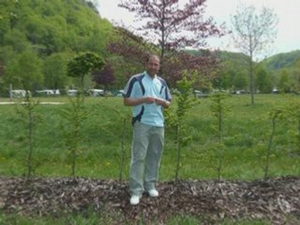 Khaled, Majdi, Fouzi,nass annaba