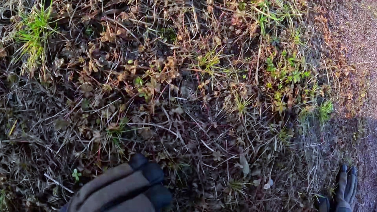 Staffel 1 | show | 2024| S1 | Official Trailer