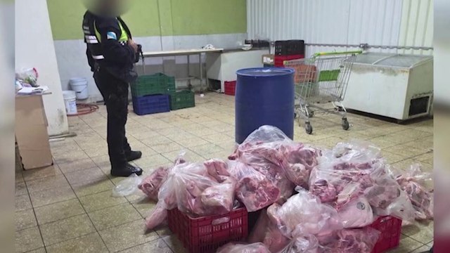 tn7-Decomisan 8 mil kilos de carne en deshuesadero clandestino en Desamparados-010625