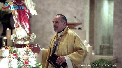 Homilía ¿Cuándo te vimos Señor