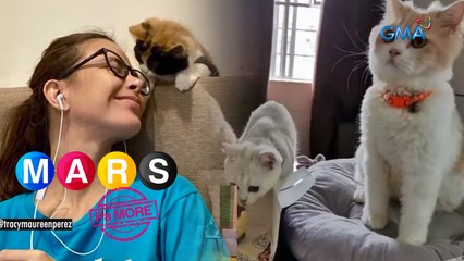 Dindy Pajares at Tracy Maureen Perez, ibinahagi ang hamon sa pag-alaga ng pusa | Mars Pa More