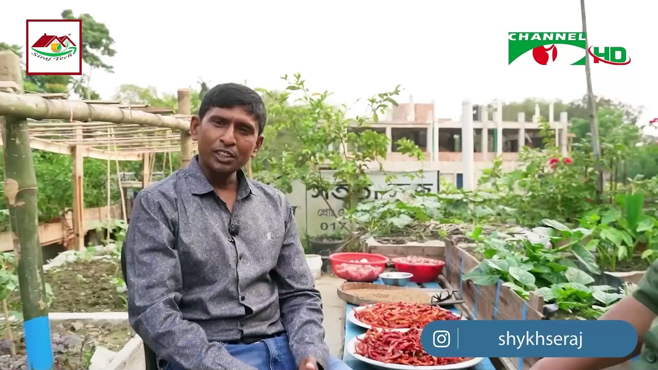 ✅ শিকড় প্রযুক্তি কী? কিভাবে গাছ দ্রুত বড় করবেন | সম্পূর্ণ গাইড | Siraj Tech Gardening Tips