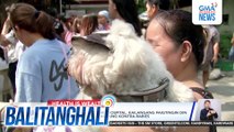 Mga nagpapabakuna kontra-rabies, dagsa sa San Lazaro Hospital; puwede ring magpabakuna nang libre sa mga LGU | Balitanghali