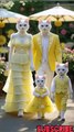 Eid Dress Sytle😻🤩🥳#cat #eid #eidmubarak #bakraeid #barieidmubarak #cutecat #ai #catshort #trendingvideo #trendingshorts #vitual #catlover #viralshorts #ytshorts #funny #crazyfunnyvideos #shortsfeed #shortvideo #funnyanimalvideos