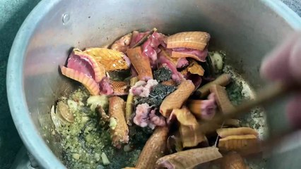 Cách Hầm Rắn Hổ Ngựa Với Đu Đủ Chuẩn Đầu Bếp – Mềm Ngon, Không Tanh, Bổ Khí